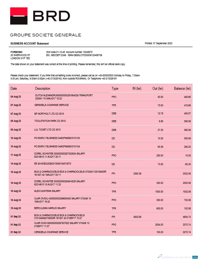 Download BRD Bank organization account statement Word and PDF template Photoshop template